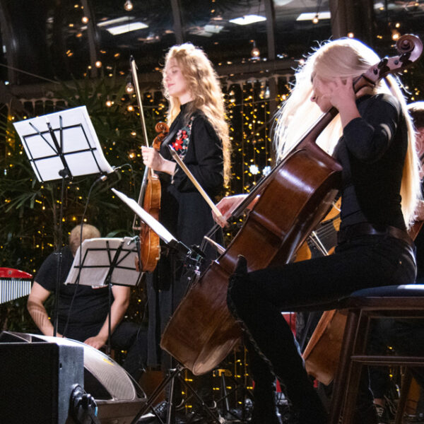 Концерт HighTime Orchestra «Властелин колец и эльфийский голос»