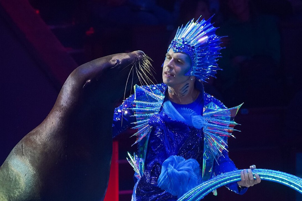 Куда сходить на весенних каникулах в Москве с детьми: 16 лучших идей в 2023 году