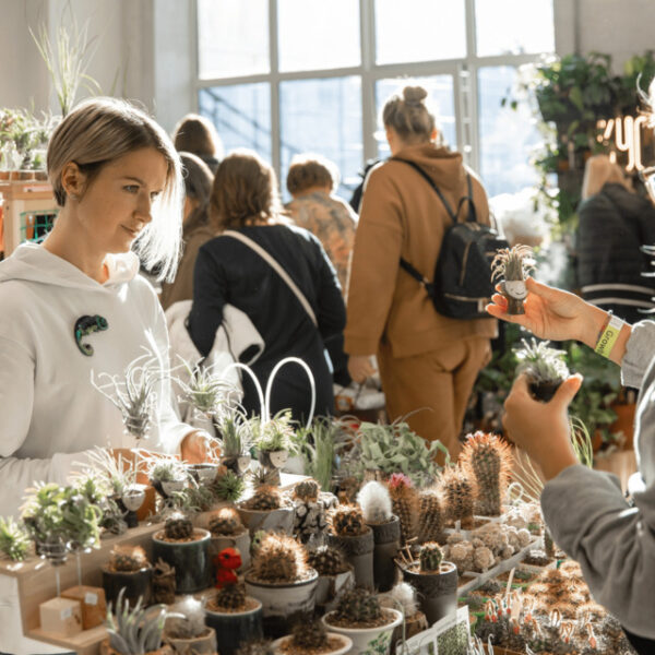 Выставка Growbox Market