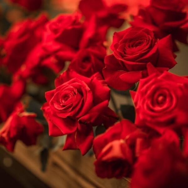 Концерт «Музыка среди цветов»