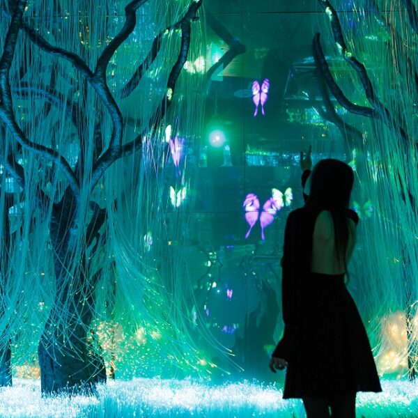 Выставка «Шрамы, ставшие светом»