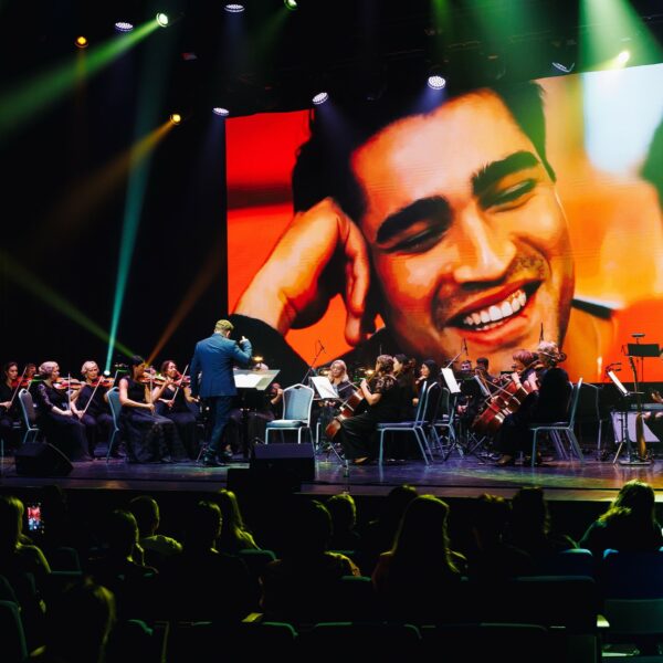 Мультимедийное шоу «Турецкие сериалы»