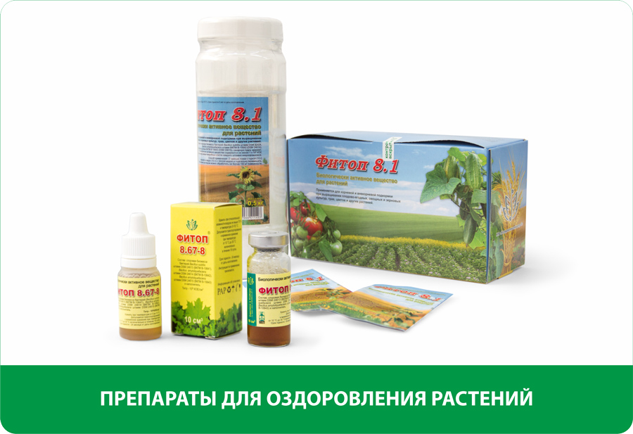 83. Фитоп 8. 67-8. Препарат фитоп. Фитоп.