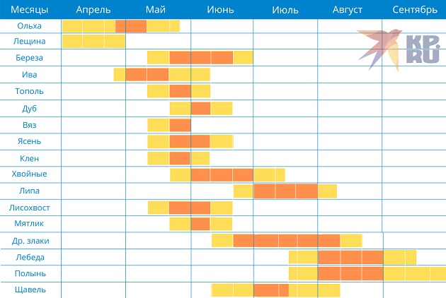Календарь пыления (цветения)