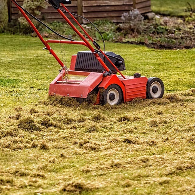 Лучшие аэраторы