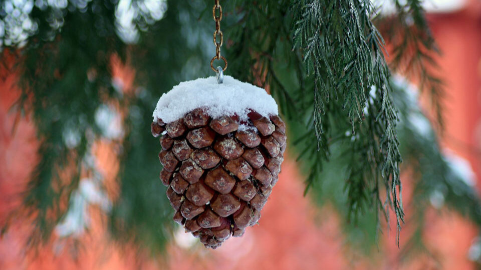 Выходные и праздничные дни в январе 2026 года