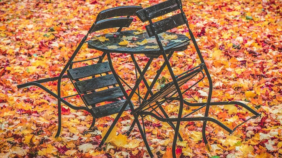 Выходные и праздничные дни в ноябре 2025 года