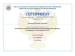 Оксана Хамицева сертификат