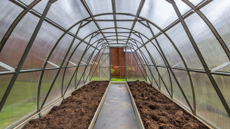 Чем обработать теплицу осенью от болезней и вредителей в 2025 году