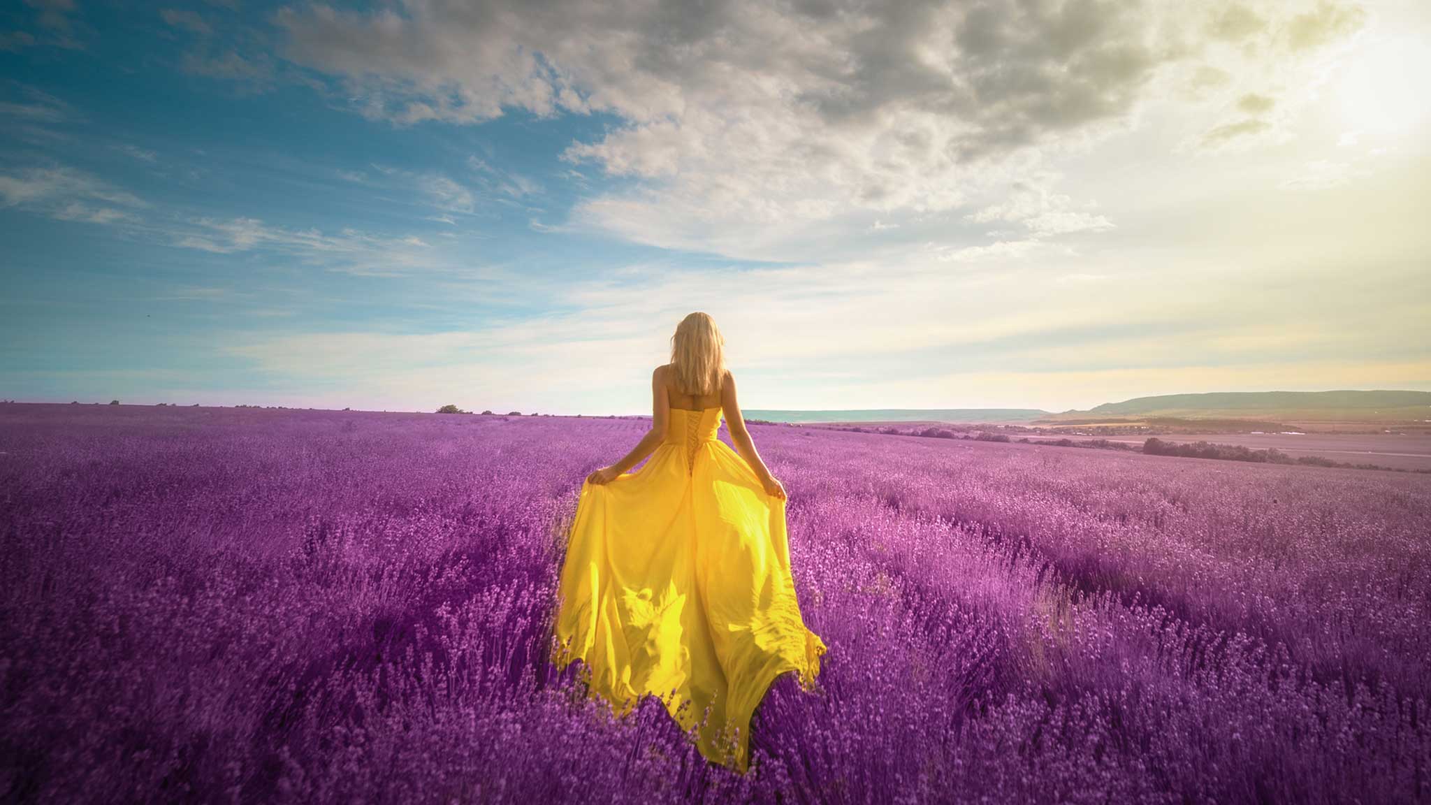 Лавандовые поля