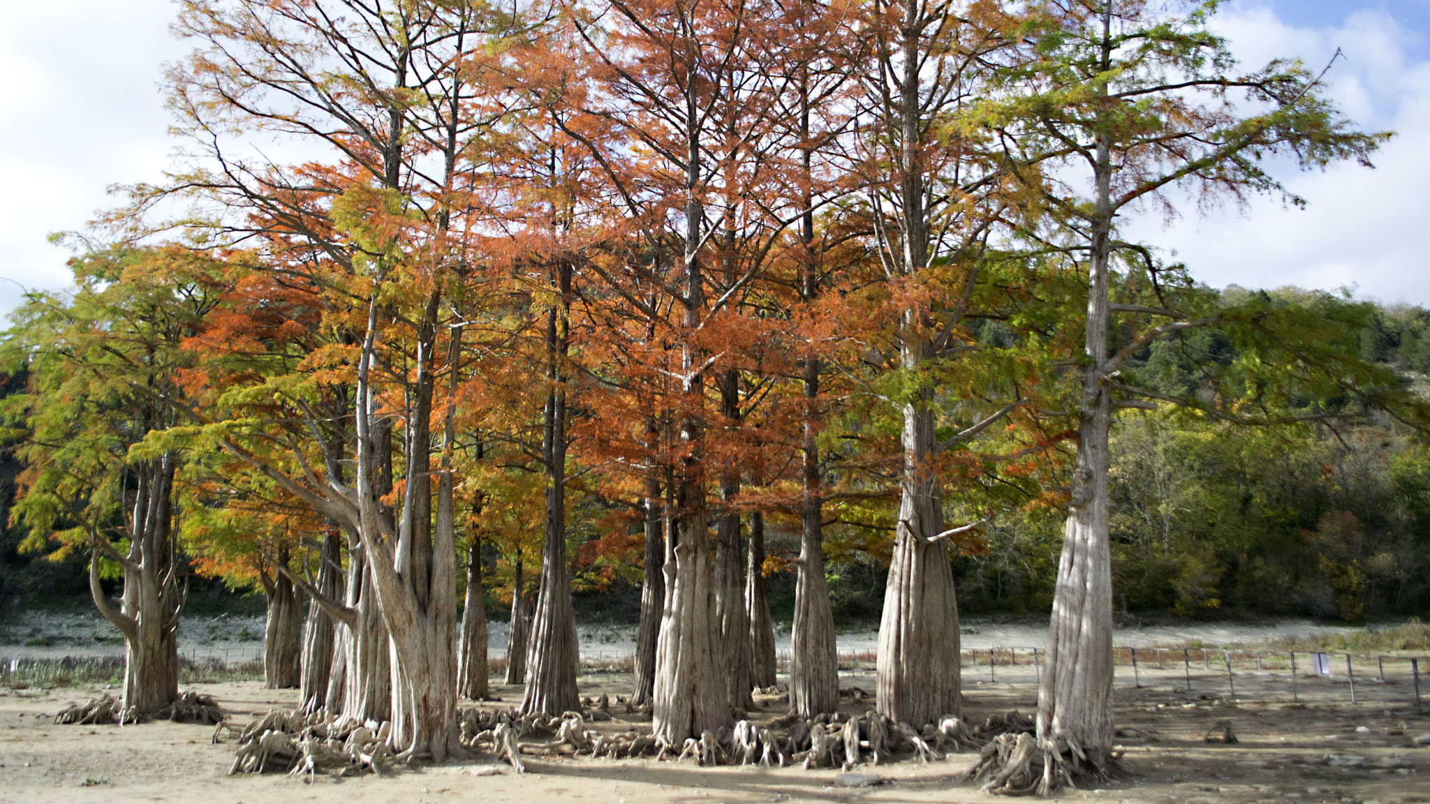 Экскурсия кипарисовое озеро в анапе. Прогноз кипарисово. Погода кипарисово 2. Кипарисовое озеро абрау. Прогноз кипарисово.