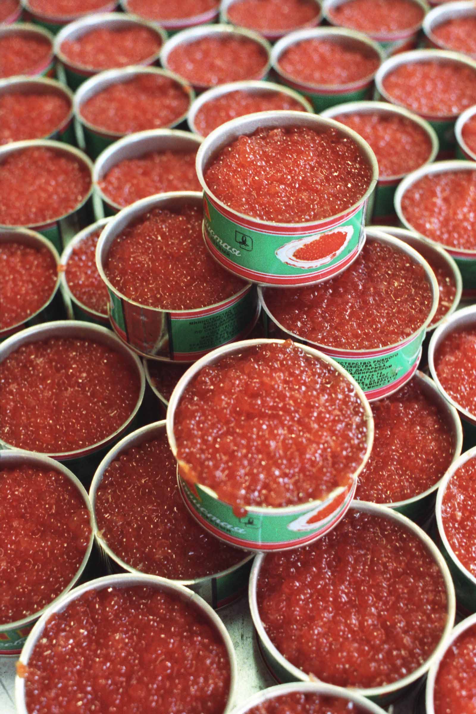 экспедиция на курилы 18