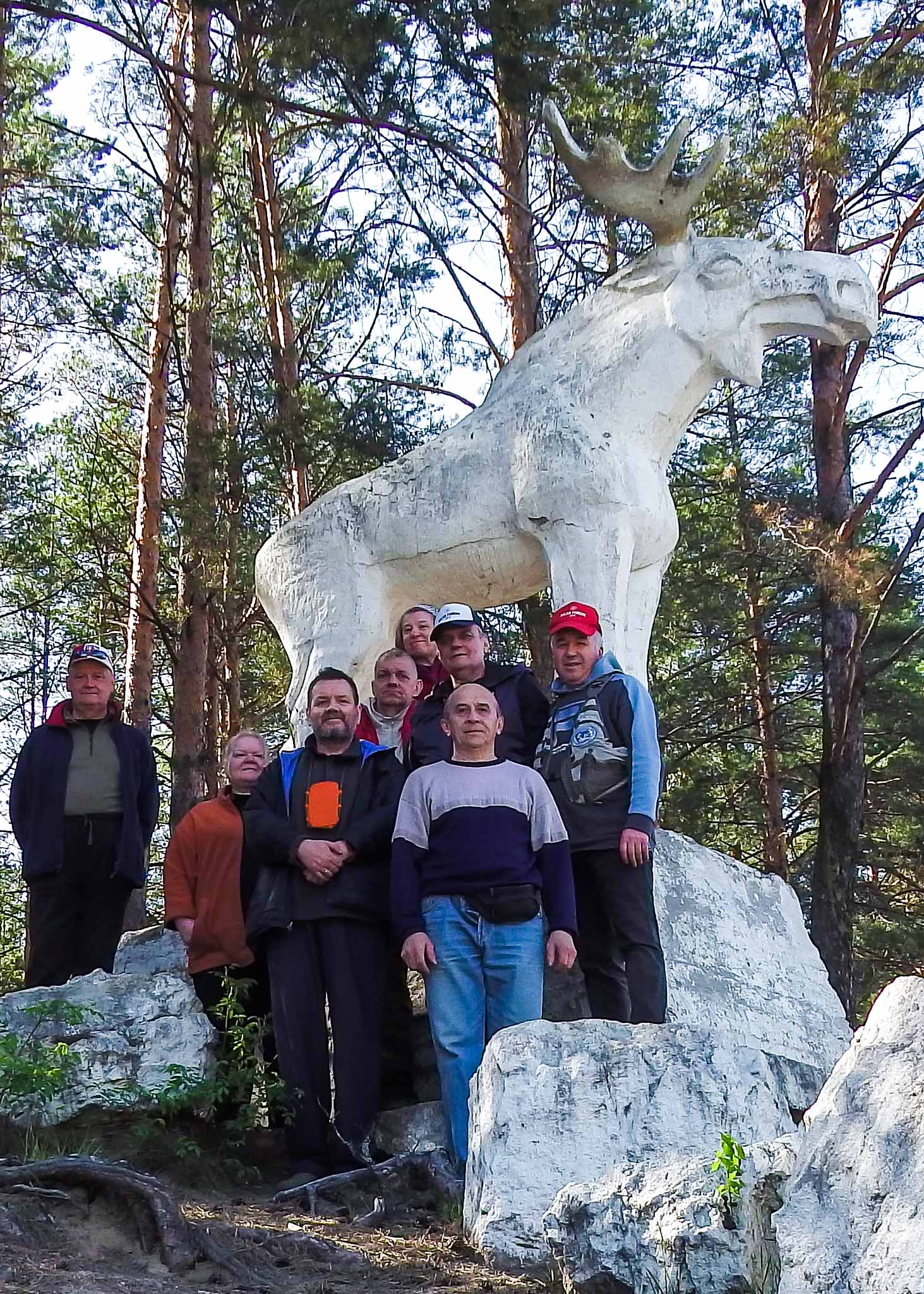 У кичиерского лося