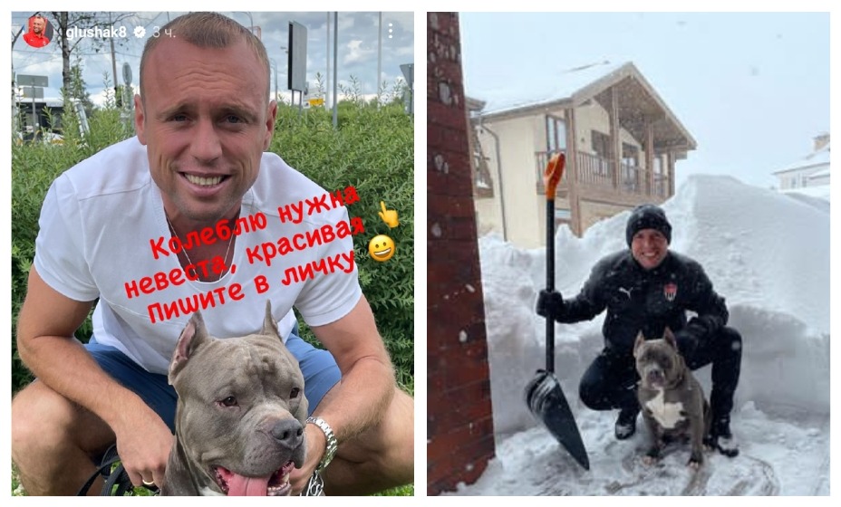 Денис Глушаков занимается поисками красивой невесты для своей собаки. Фото: соцсети Дениса Глушакова