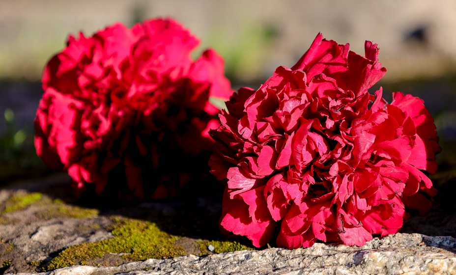 Фото: Global Look Press