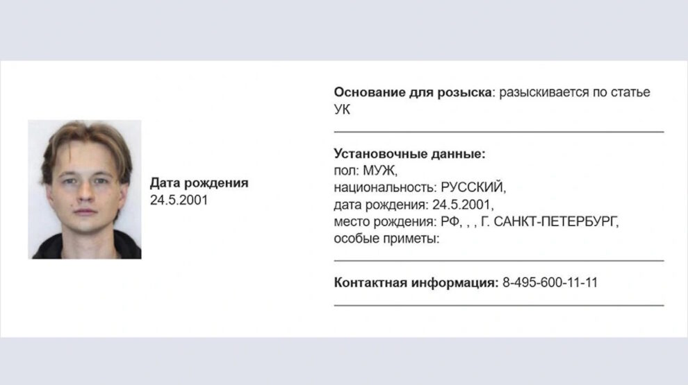 Карточка розыска Александра Гнедина в базе МВД. Фото: скриншот