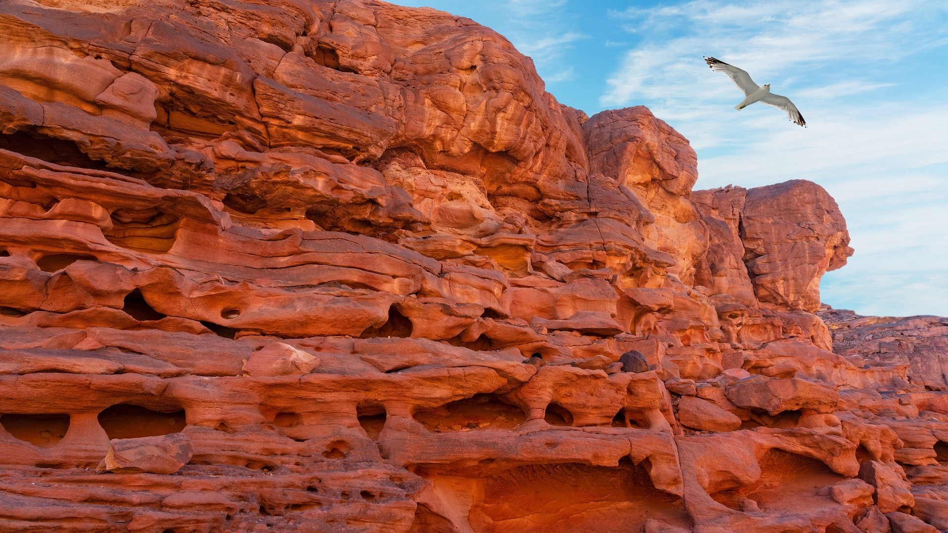 Цветной каньон в национальном парке Абу-Галум, Синай.
