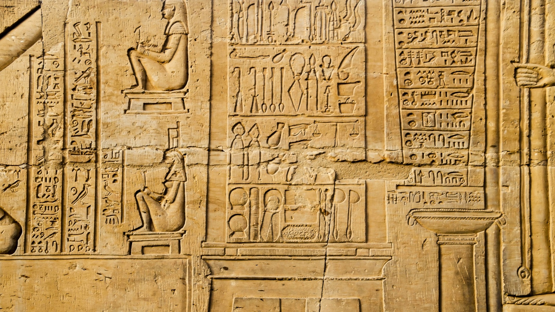 Барельефы с изображениями в храме Ком-Омбо.