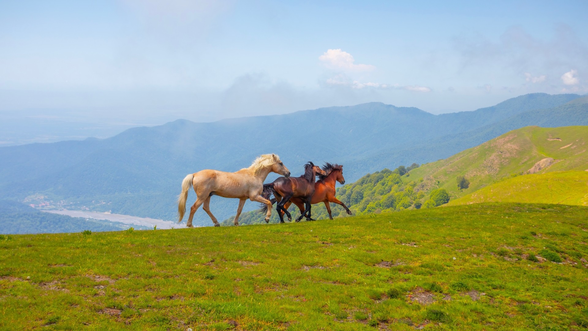 Прекрасные пейзажи азербайджанской природы, Загатала.